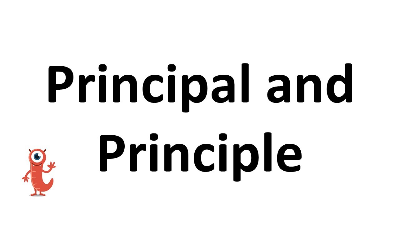 principle and principal definition
